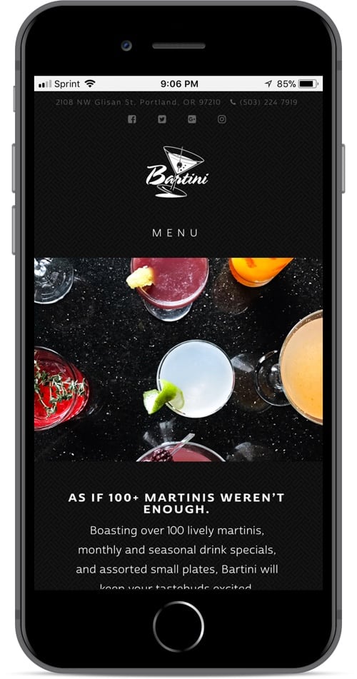 custom web design for Bartini