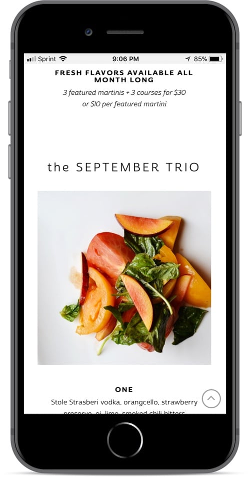 custom web design for Bartini