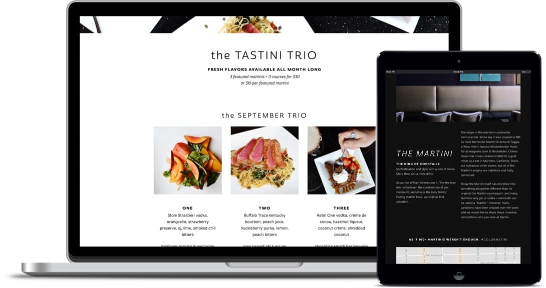 custom web design for Bartini